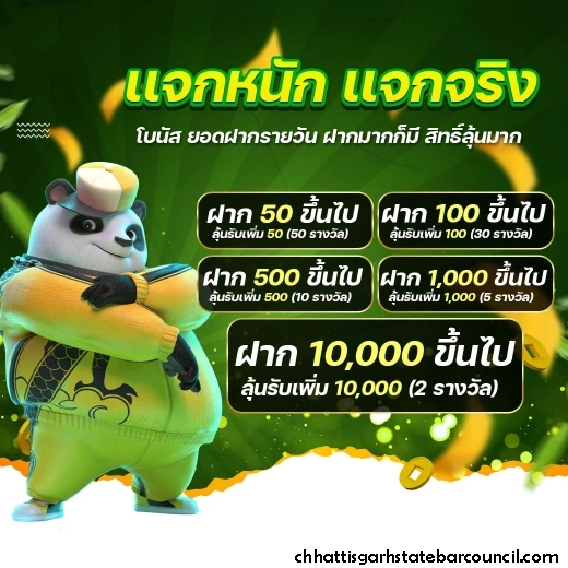 บาคาร่าทดลองเล่นฟรี pg